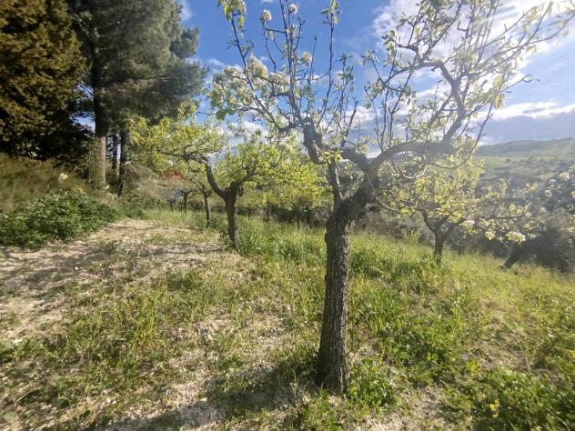 Terreno in vendita a Palazzolo Acreide - Foto 5
