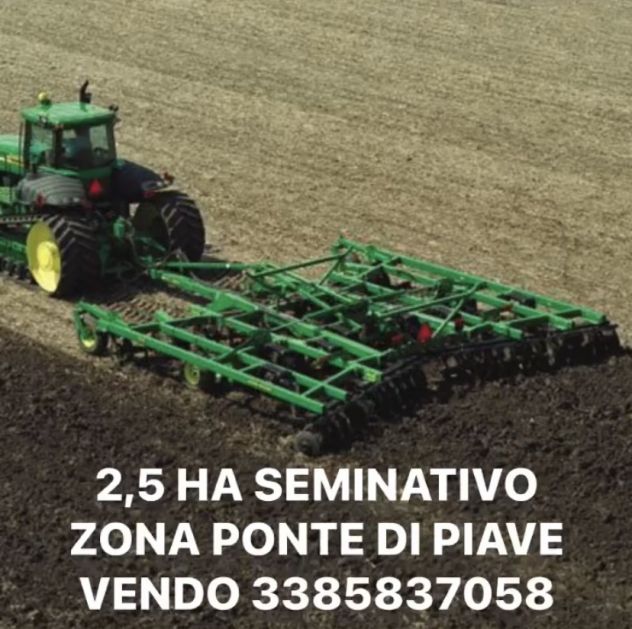 CASALE CON 7000 MQ TERRENO IN SALGAREDA VENDO - Foto 4
