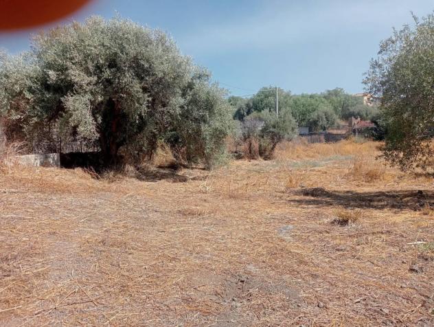 Terreno Agricolo - Belpasso . Rif.: 33367 - Foto 7