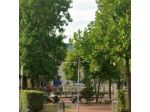 Locale comm.le/Fondo in affitto a Bientina 25 mq  Rif: 1407376