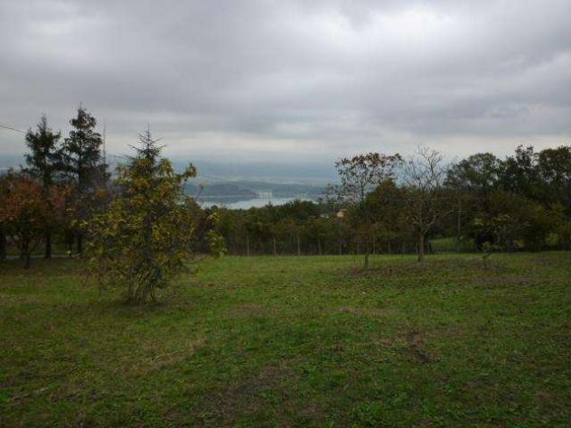 terr bor 25 - Terreno Agricolo a Capannori - Gragnano