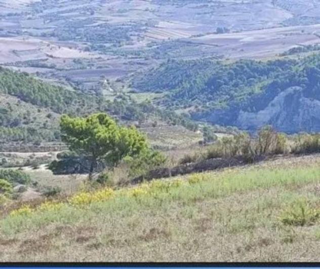 Immobile in asta di 15000 m² in vendita a Licodia Eubea - Foto 6