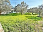 Terratetto in vendita a Calenzano 280 mq  Rif: 1306013