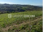 Terreno in vendita a Busso - Rif. 4541556