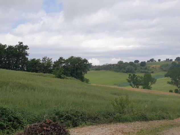 Seminativo in vendita a Lugnano in Teverina - Foto 4