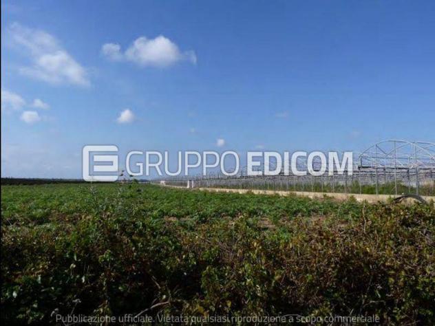 Terreno in vendita a Noto - Rif. 4549586
