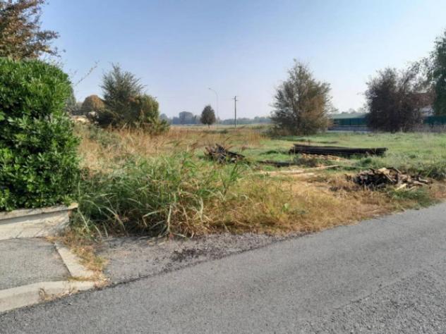 Immobile in asta di 1492 m² in vendita a San Cipriano Po - Foto 3