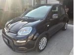 FIAT Panda 1.0 FireFly Hybrid S&S 70cv *PROMO AZZURRA*