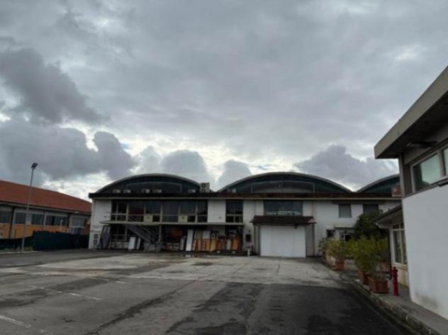 Immobile in asta di 5532 m² in vendita a San Giuliano Terme - Foto 6