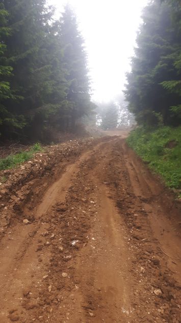 Terreno bosco ex malga - Foto 3