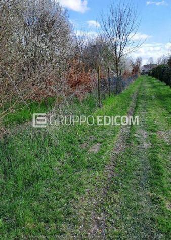 Terreno di 9550 mq in vendita a Riese Pio X - Rif. 4554416 - Foto 4