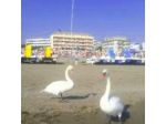 Albergo Stoccarda S.r.l.