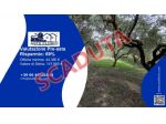 Immobile in asta di 144 m² con più di 5 locali in vendita a Montesilvano