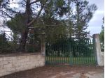 Terreno in vendita a Caltagirone