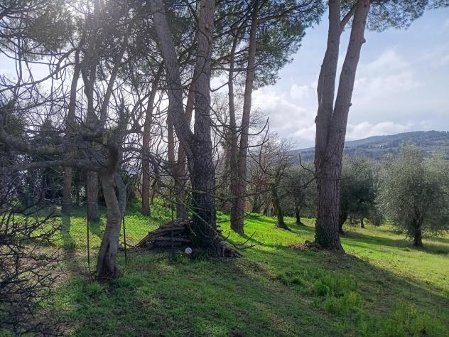 Rustico in vendita a Orciatico - Lajatico 225 mq Rif: 1419652 - Foto 4