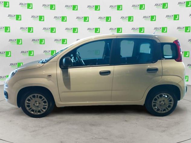 FIAT Panda NEW 1.0 70cv Hybrid Pop - Foto 5