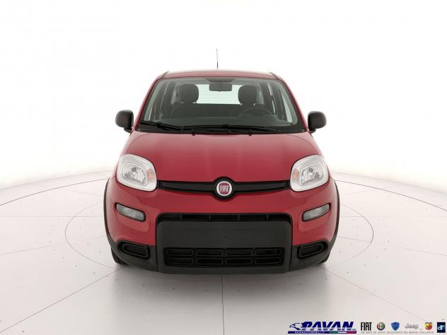 FIAT Pandina Panda 1.0 FireFly 65 CV Hybrid Icon - Foto 2