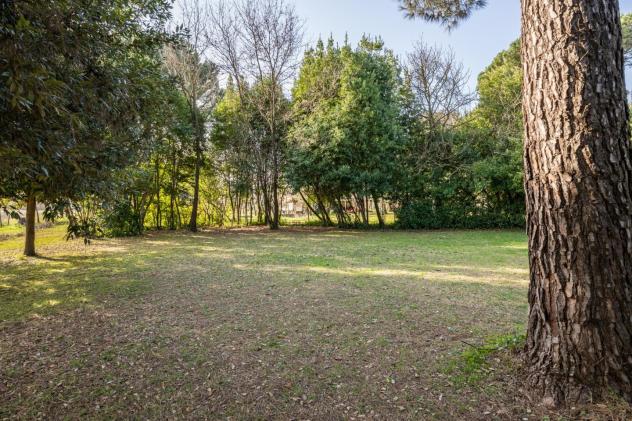 Casa singola in vendita a Santa Lucia - Pontedera 355 mq Rif: 1391809 - Foto 3