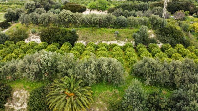 Terreno in vendita in Contrada Fiumara s.n.c., Centro, Noto - Foto 3