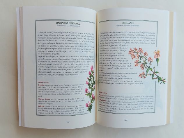 La medicina dei semplici ovvero come si usano erbe officinali, piante, fiori - Foto 5