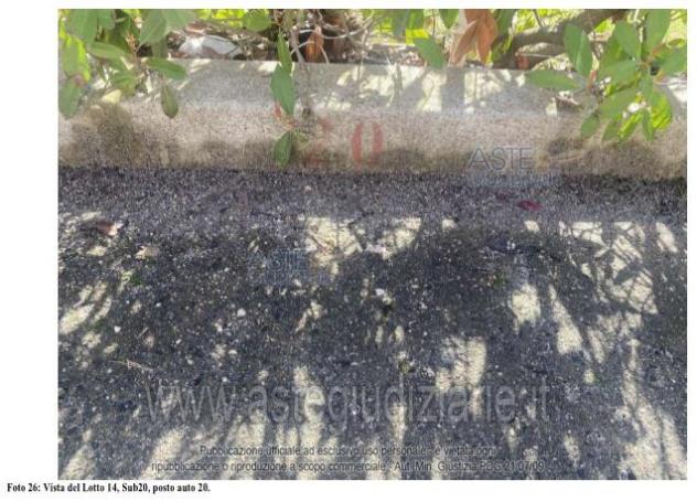 IMMOBILI-ALTRA CATEGORIA-Via dei Tulipani, 67051 Avezzano AQ, Italia - Foto 4