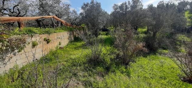 Seminativo in vendita a Montecorvino Rovella - Foto 4