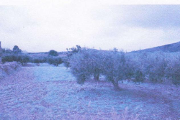 Immobile in asta di 4503 m² in vendita a Trapani - Foto 3