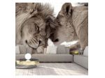 Fotomurale Adesivo Con Due Leoni Affettuosi Arredalacasa