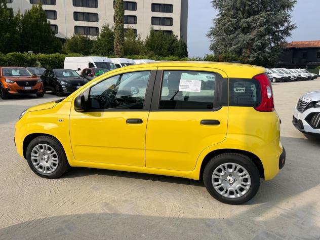 FIAT Pandina Pandina 1.0 firefly hybrid Icon s&s 65cv - Foto 5