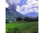 Illmer Guenther