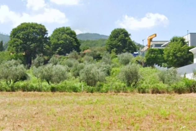 Immobile in asta di 159545 m² in vendita a Fiumicino - Foto 12
