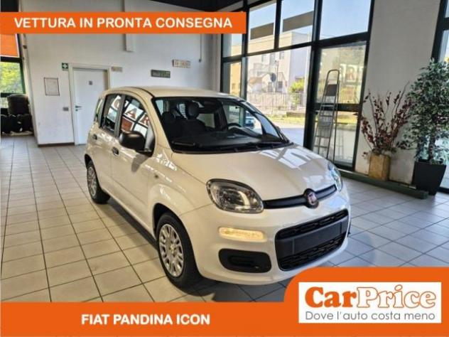 FIAT Pandina 1.0 FireFly 65CV Hybrid Icon (5 Posti) rif. 24109991 - Foto 2