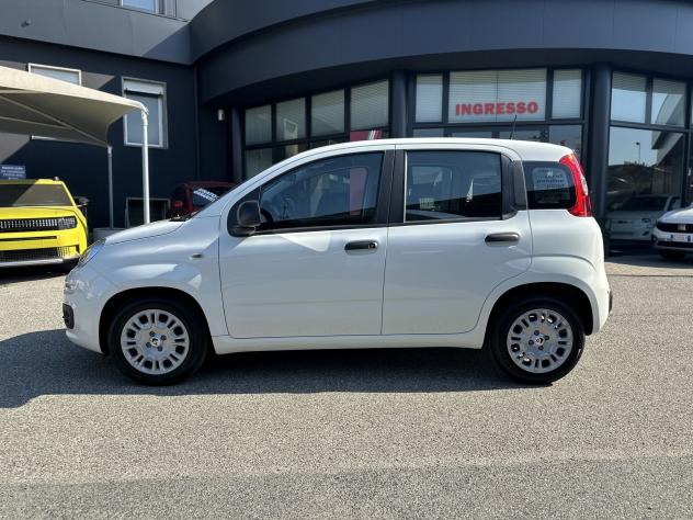 FIAT Pandina 1.0 FireFly 65cv S&S 6m Hybrid Icon - Foto 4