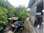 Capannone artigianale in vendita a Pietrasanta 60 mq  Rif: 1334066