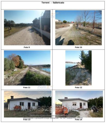 IMMOBILI-IMMOBILE RESIDENZIALE-Contrada Paludi, 36, 65011 Cetrano PE, Italia - Foto 7