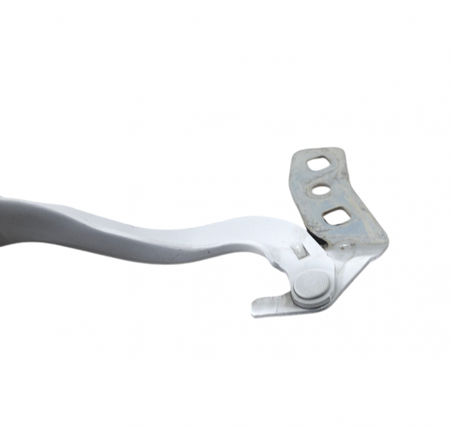 CERNIERE COFANO ANTERIORE DX E SX FORD Kuga Serie (DFK) LJ6B-S16800-AB (19) - Foto 9