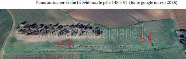 IMMOBILI-ALTRA CATEGORIA-SERDIANA - Foto 7
