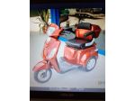 vendo scooter elettrico per anziani e disabili FREEDOM 3  di Carraro Automobili