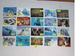 ANIMALI MISTI CARTOLINA 10 X15 collezione vintage SCEGLI la preferita