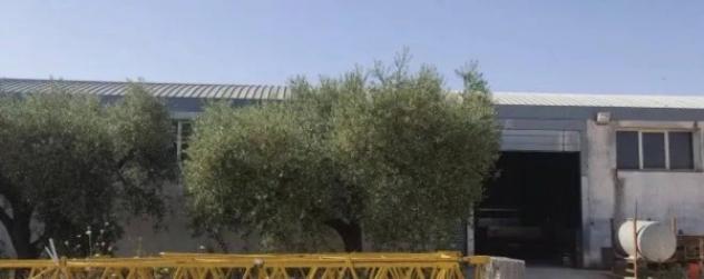Immobile in asta di 457 m² in vendita a San Severo - Foto 9