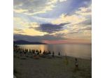 Oliveto a Mare S.r.l.