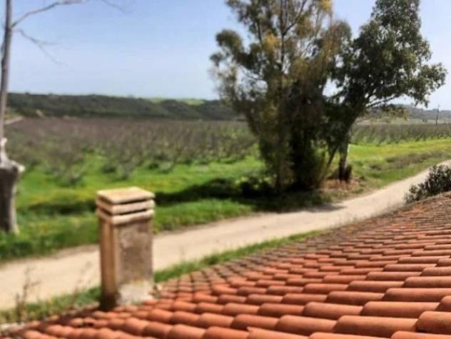 Immobile in asta di 2485532 m² in vendita a Pisticci - Foto 15