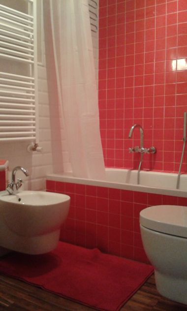 POSTO LETTO IN CAMERA SINGOLA - CITTA' STUDI SOLO STUDENTESSE MATRICOLE €710/750 - Foto 3
