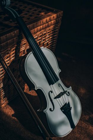 Violinista a Ghedi e in provincia di Brescia
