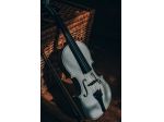 Violinista a Ghedi e in provincia di Brescia