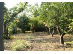 Terreno edificabile in vendita a Aci Bonaccorsi