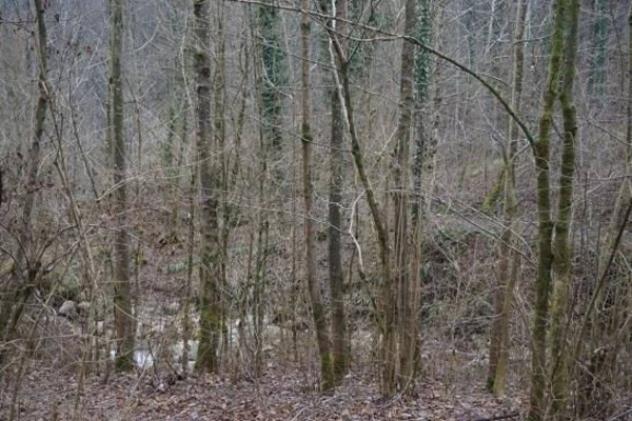 Immobile in asta di 6196 m² in vendita a Valli del Pasubio - Foto 7