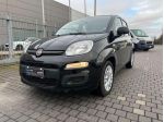 FIAT - Panda - 1.0 FireFly S&S Hybrid Easy