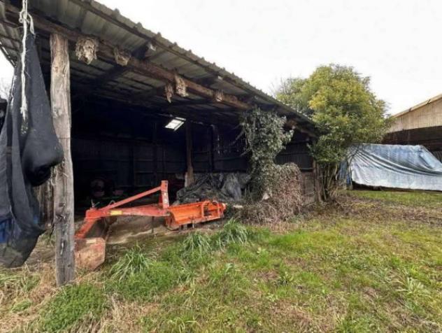 Immobile in asta di 3896 m² in vendita a Zero Branco - Foto 3