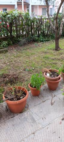 Appartamento in vendita a Santo Stefano di Magra - Foto 15